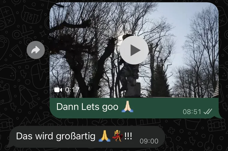 Kundennachricht per WhatsApp: Video-Vorschau mit der Antwort 'Dann Lets goo'